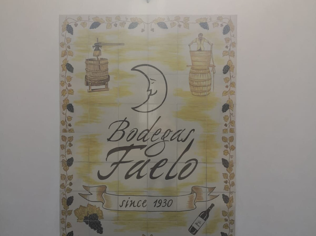 Bodegas Faelo-埃尔切必去景点