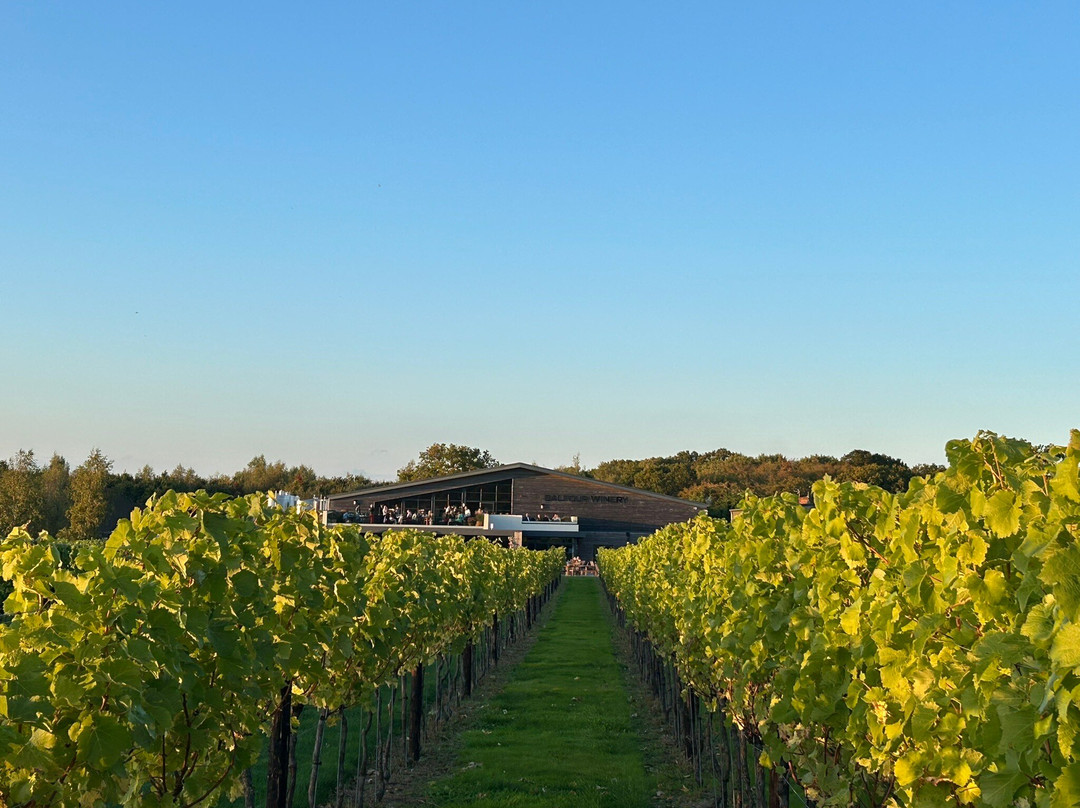 Balfour Winery-Staplehurst必去景点