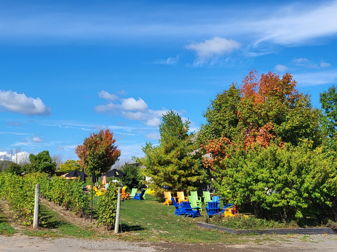 Sandbanks Estate Winery-Wellington必去景点