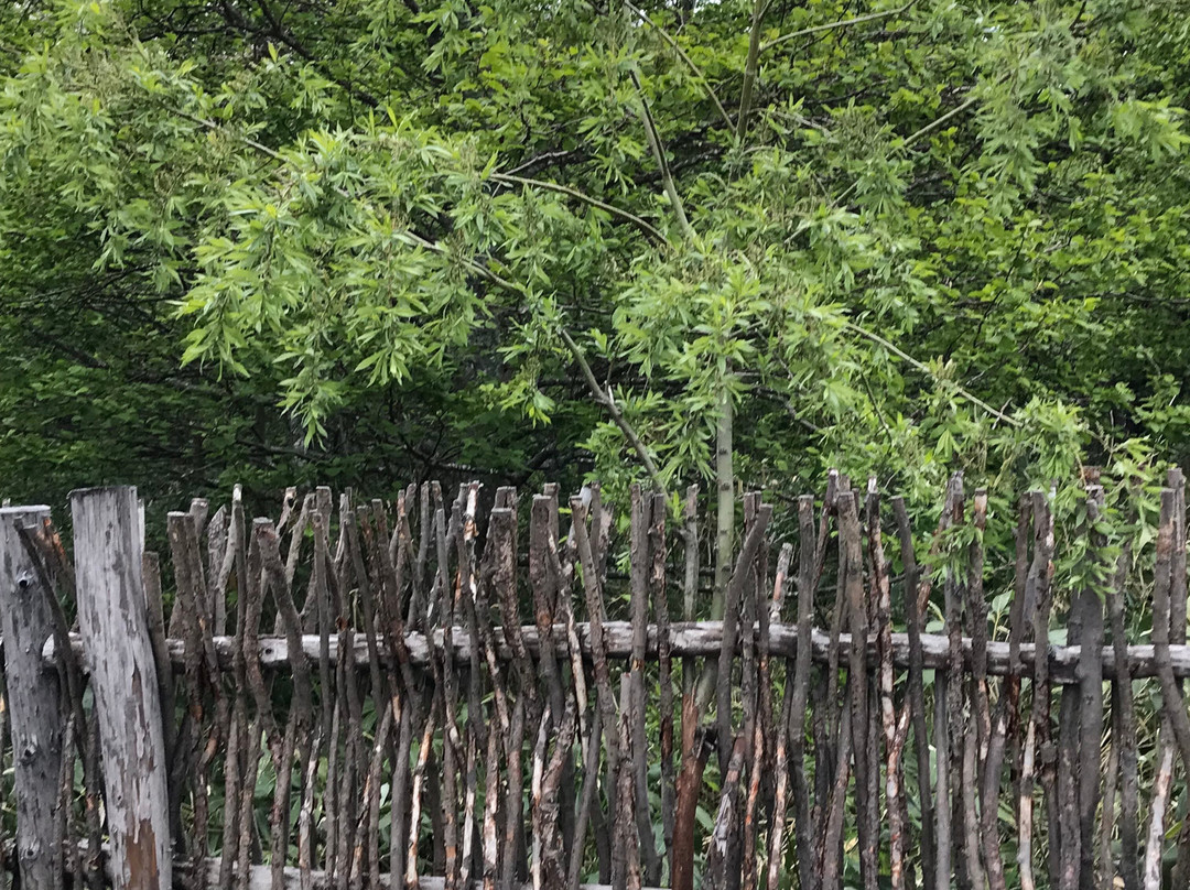 Zharkiye Vody  Hot Spring-Reydovo必去景点