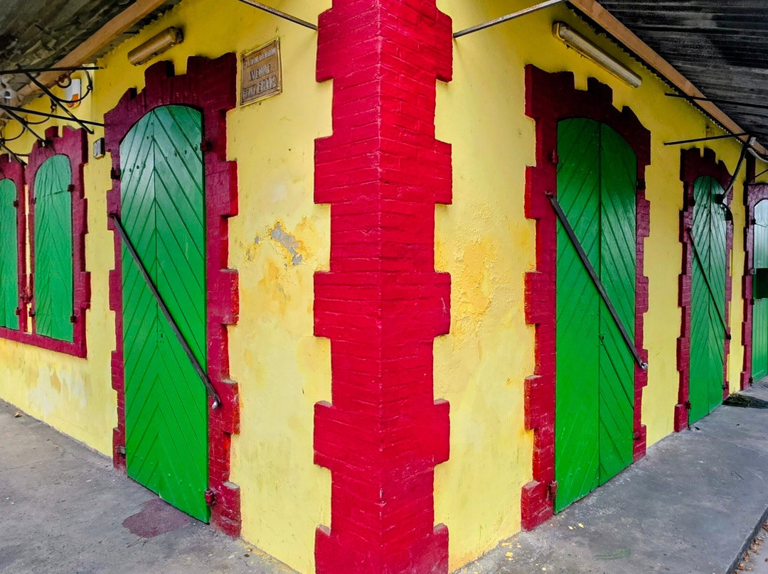 Orange Travel Suriname-帕拉马里博必去景点