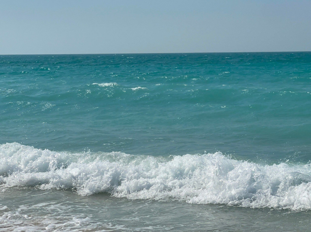 萨迪亚特岛公共海滩-阿布扎比必去景点