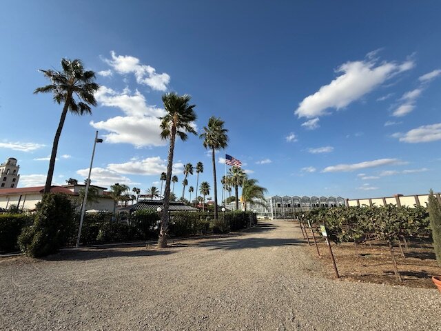 Hotel Mission de Oro-浴室