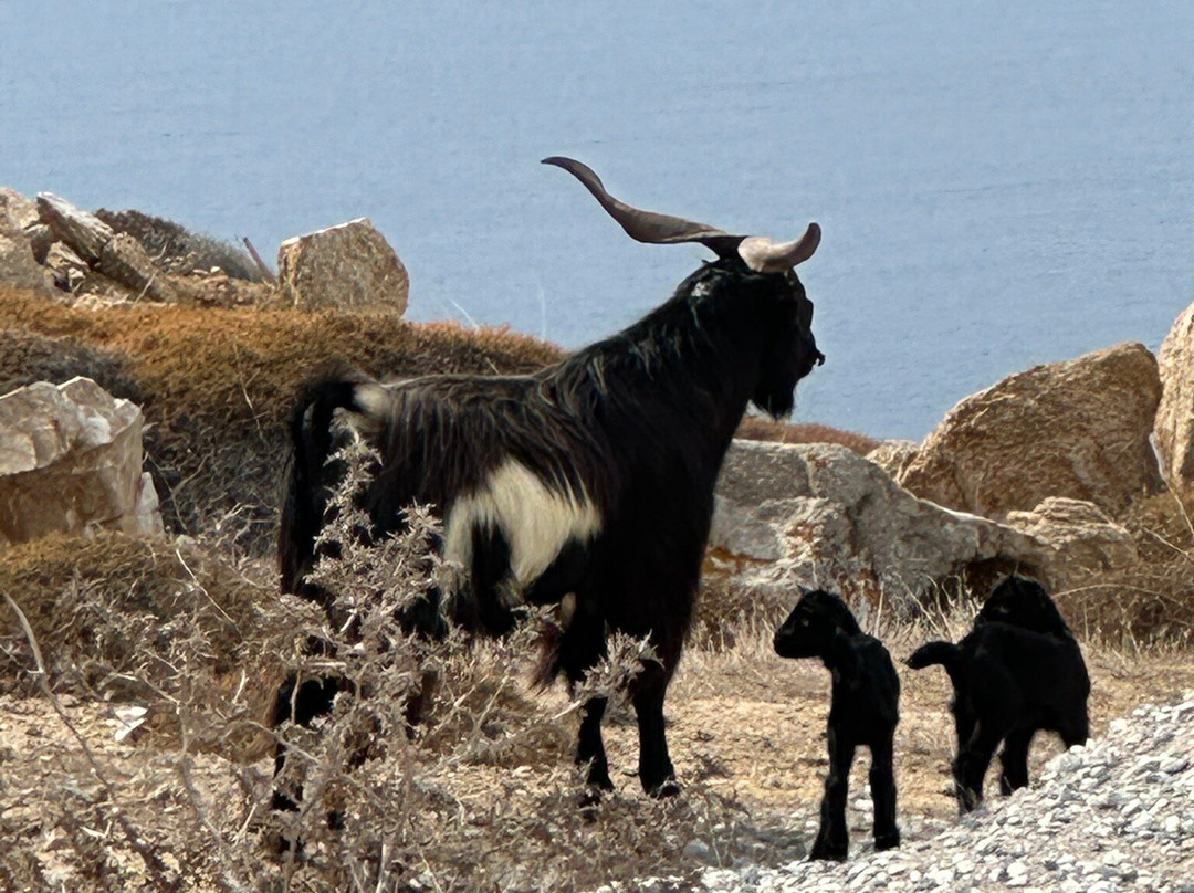 Armenistis Lighthouse-Faros Armenistis必去景点