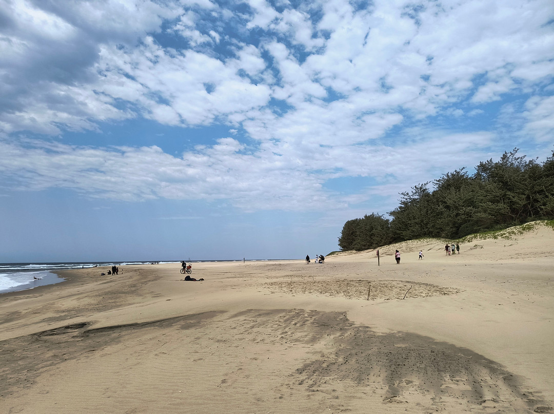 EuroZulu Guided Tours & Safaris-圣露西亚必去景点