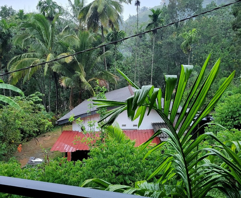 Milan Home Stay主图