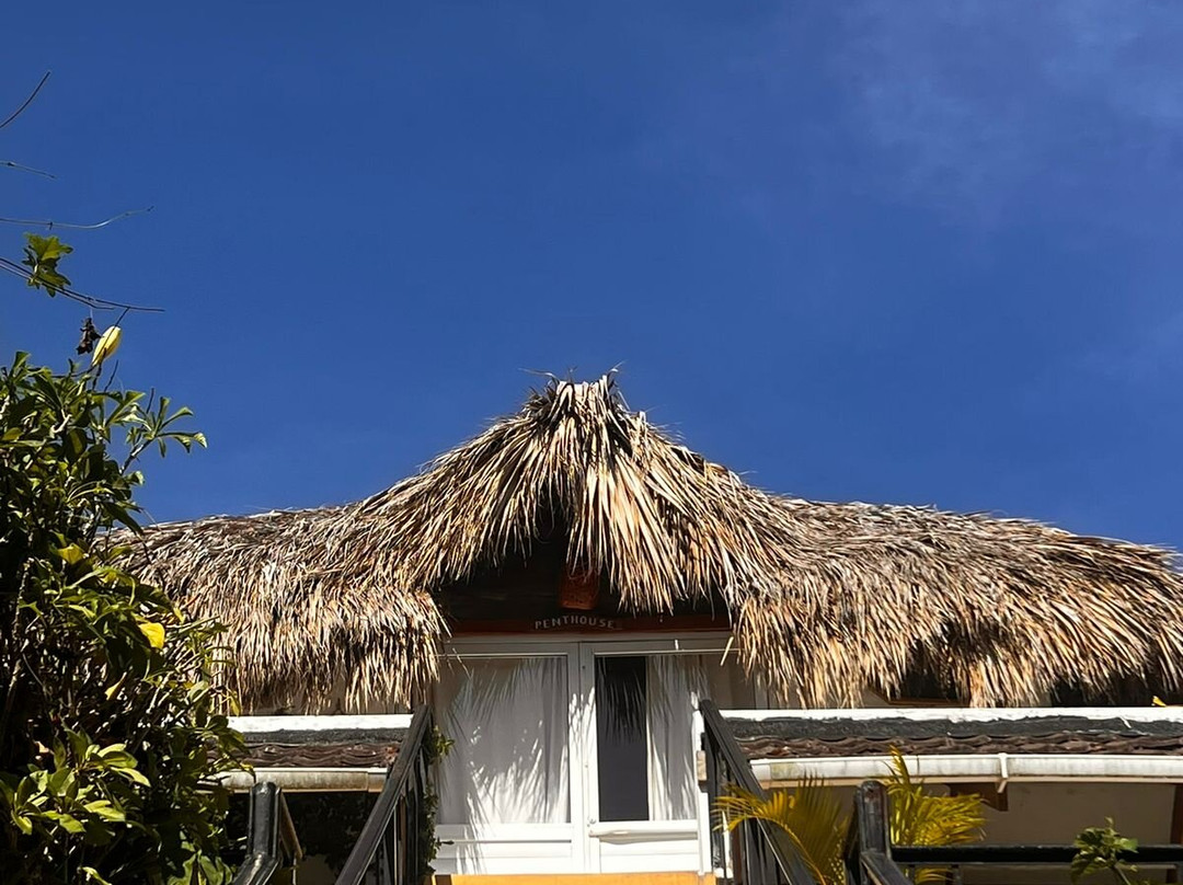 Surfbreak Cabarete B&B Surf And Yoga主图