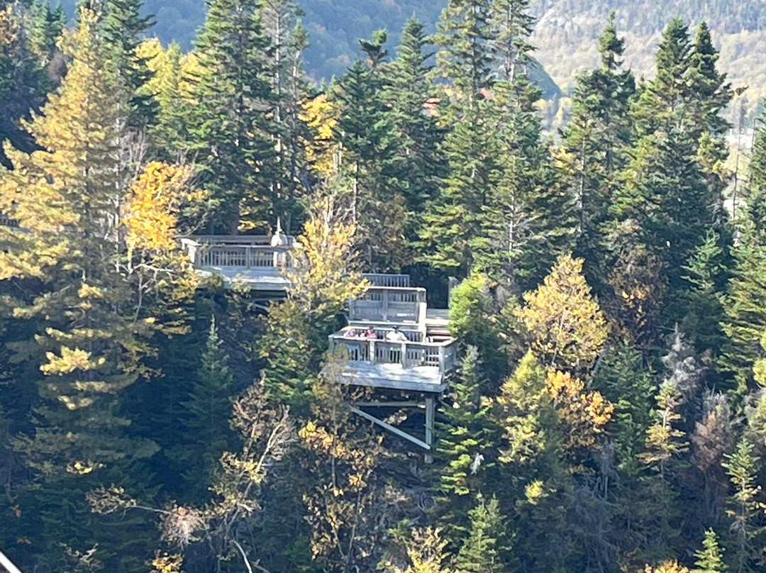 Marble Zip Tours-Steady Brook必去景点