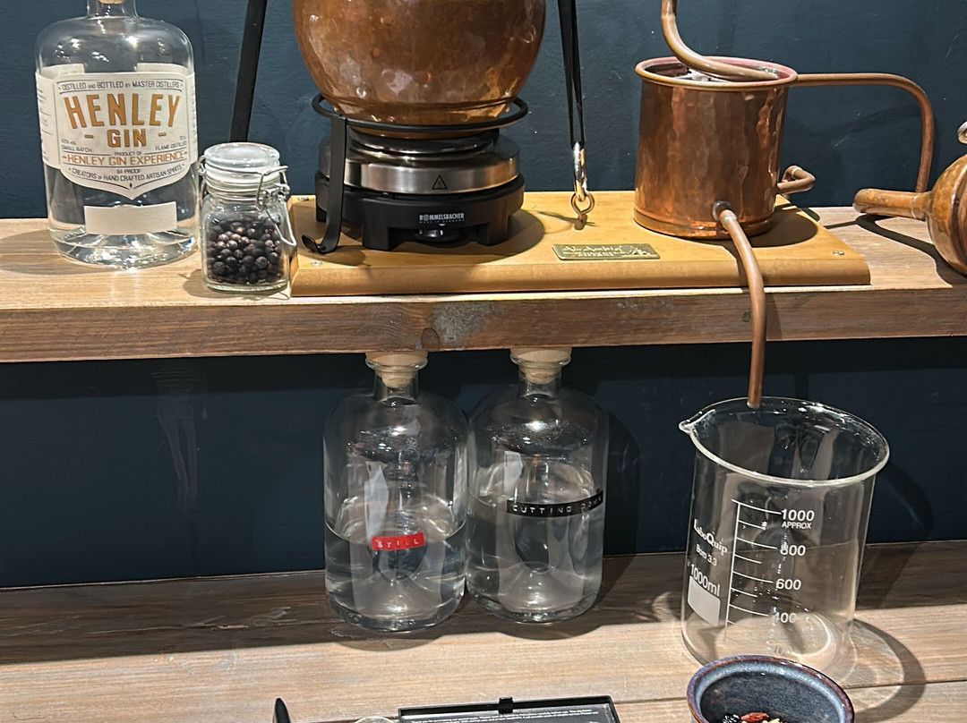 The Henley Distillery Gin Experience-泰晤士河畔亨利必去景点