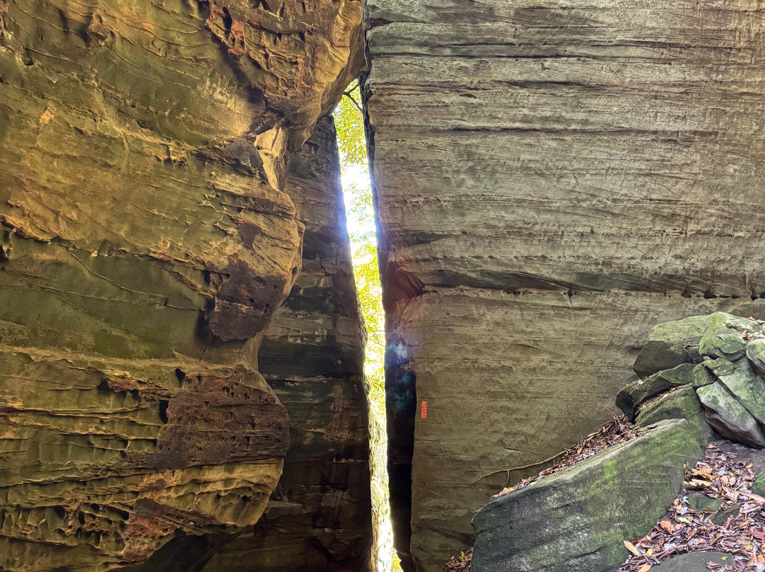 Carter Caves State Resort Park-Olive Hill必去景点