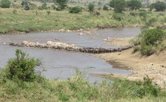Tunu African Adventures-阿鲁沙必去景点