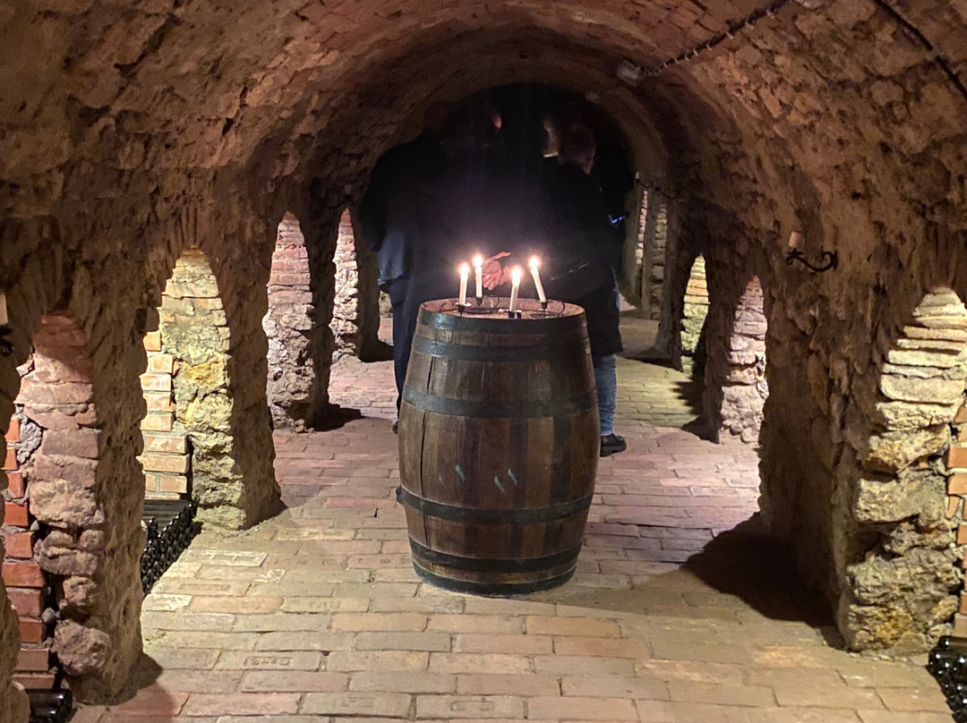 Bio-Weinbau Killmeyer