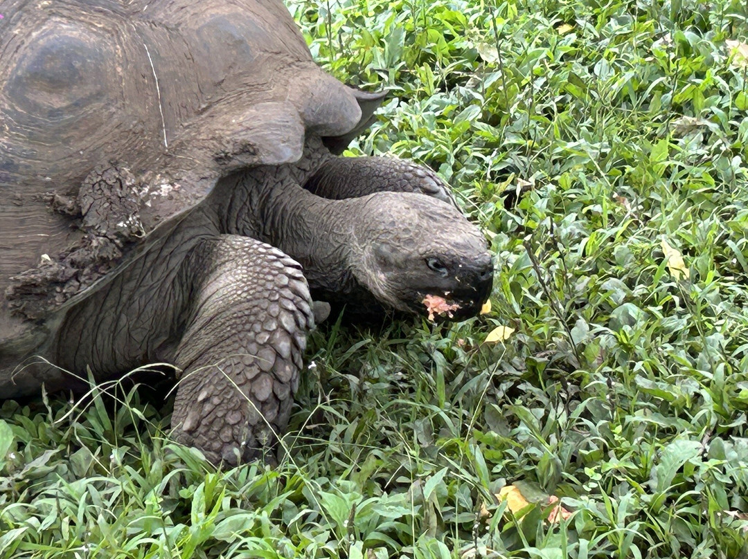Reserva El Chato-阿约拉港必去景点