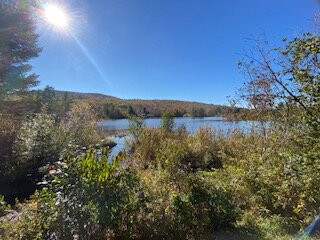 Coffin Pond Conservation Area-Sugar Hill必去景点