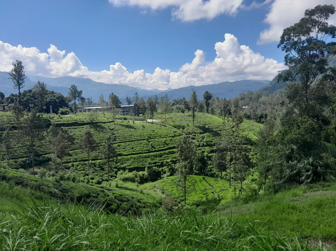 Kandy Tourist Information Center-康提必去景点