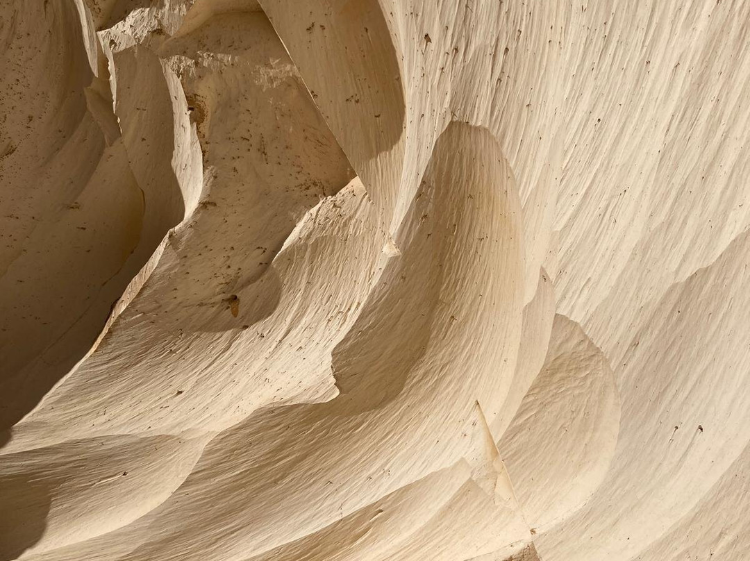 Bahariya Oasis Guide-Bawiti必去景点