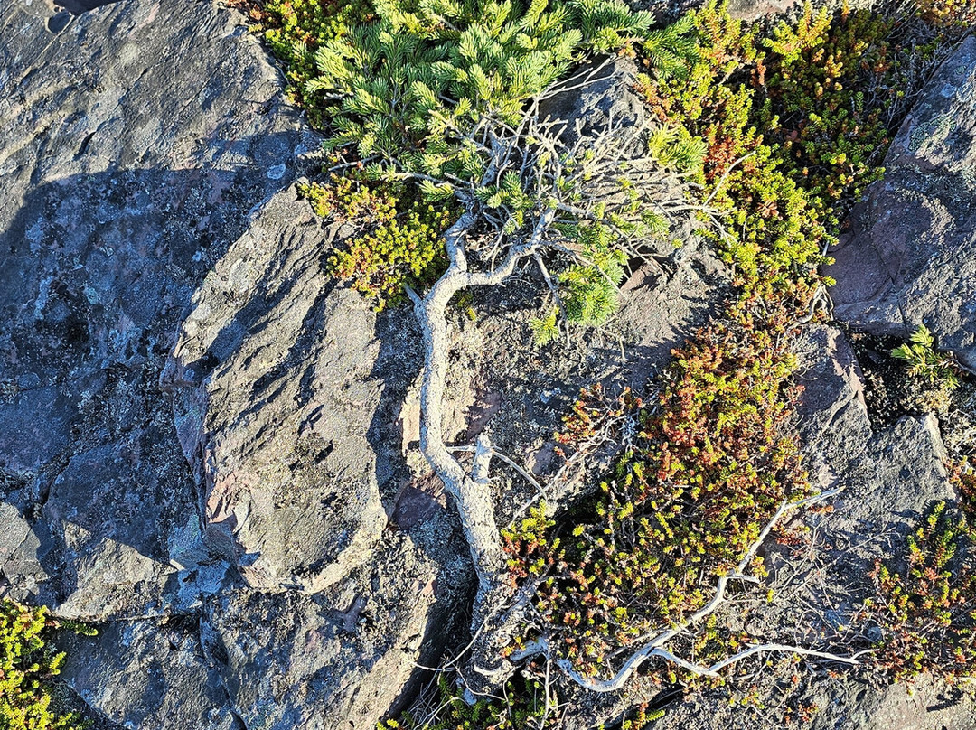 King’s Cove Lighthouse-Bonavista必去景点