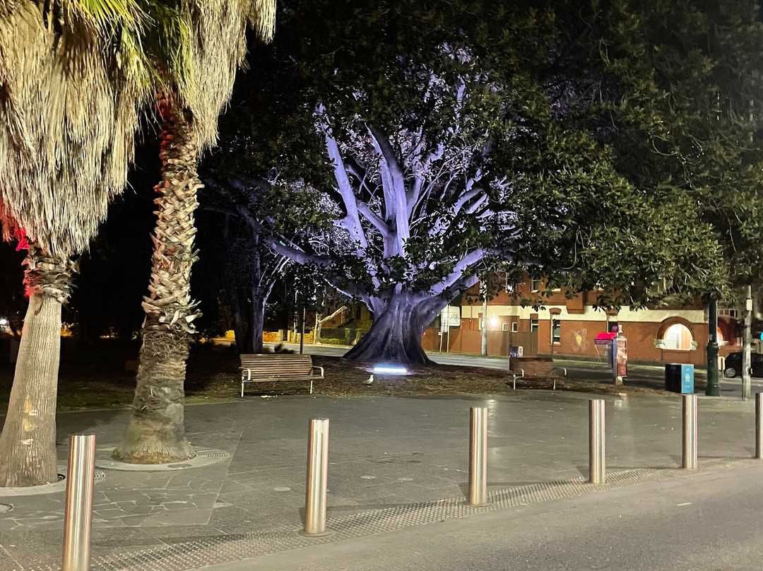 Cleve Gardens-圣基尔达必去景点