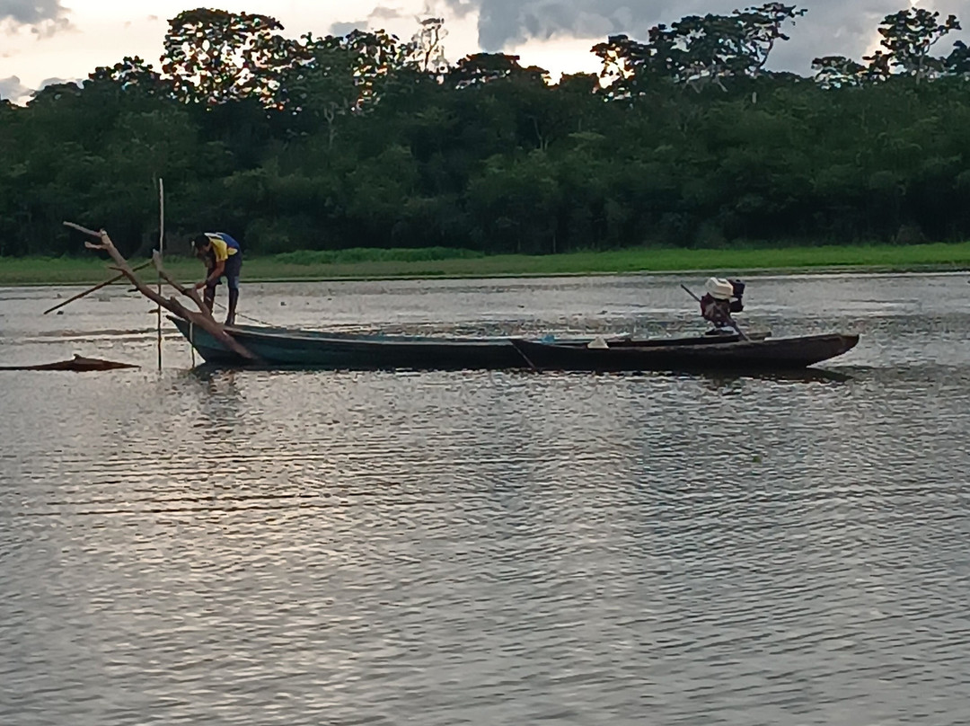 Muyuna Amazon Lodge Experience-伊基托斯必去景点