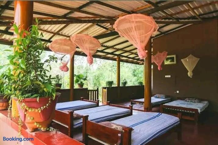 Mk Yala Safari And Guest House