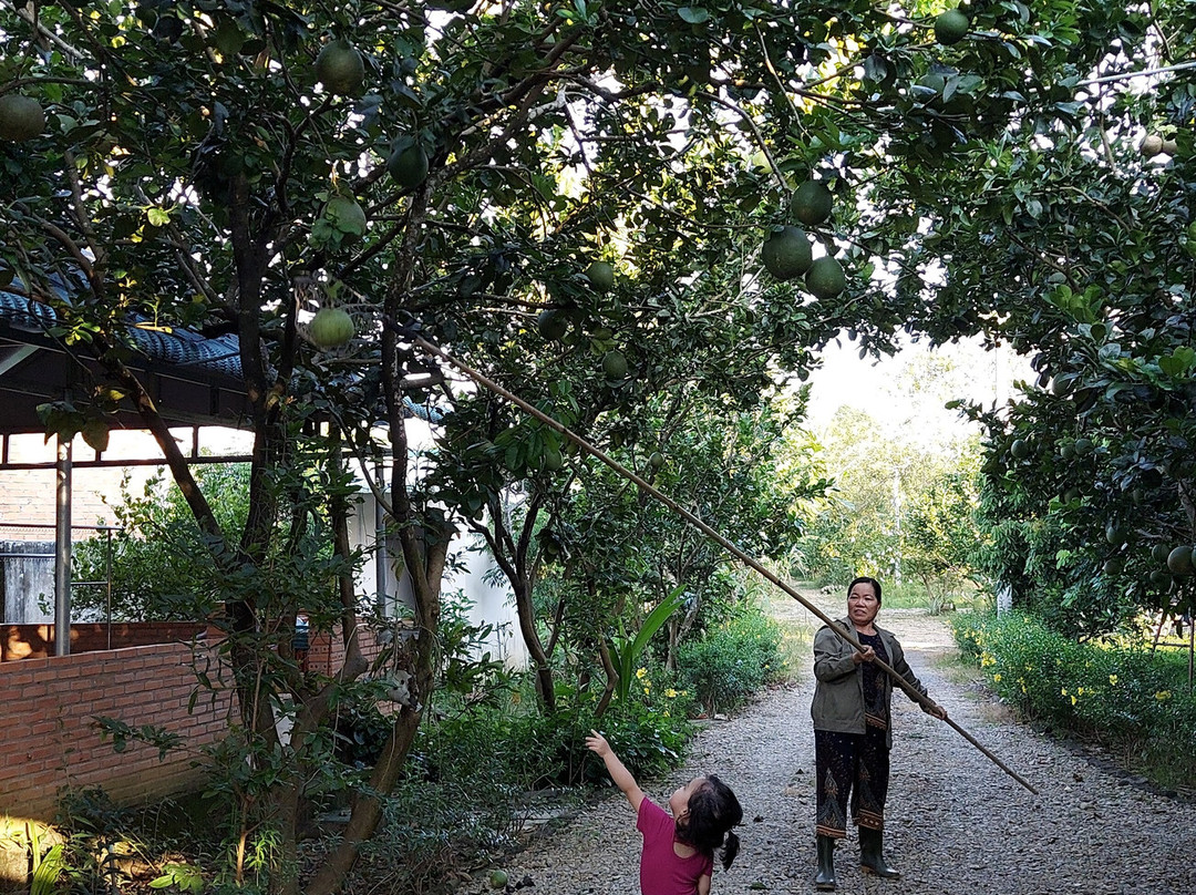 Thuy Tien Eco-Lodge主图