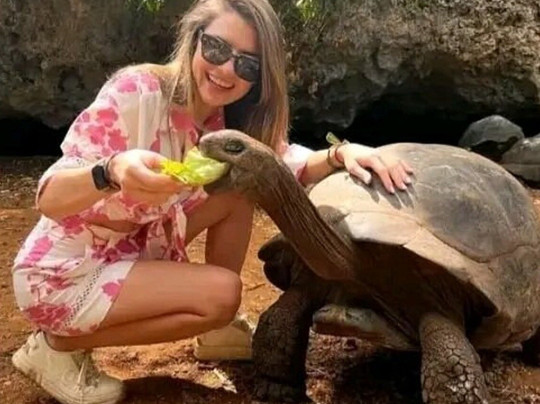 My Trip Adventures-Dar es Salaam必去景点