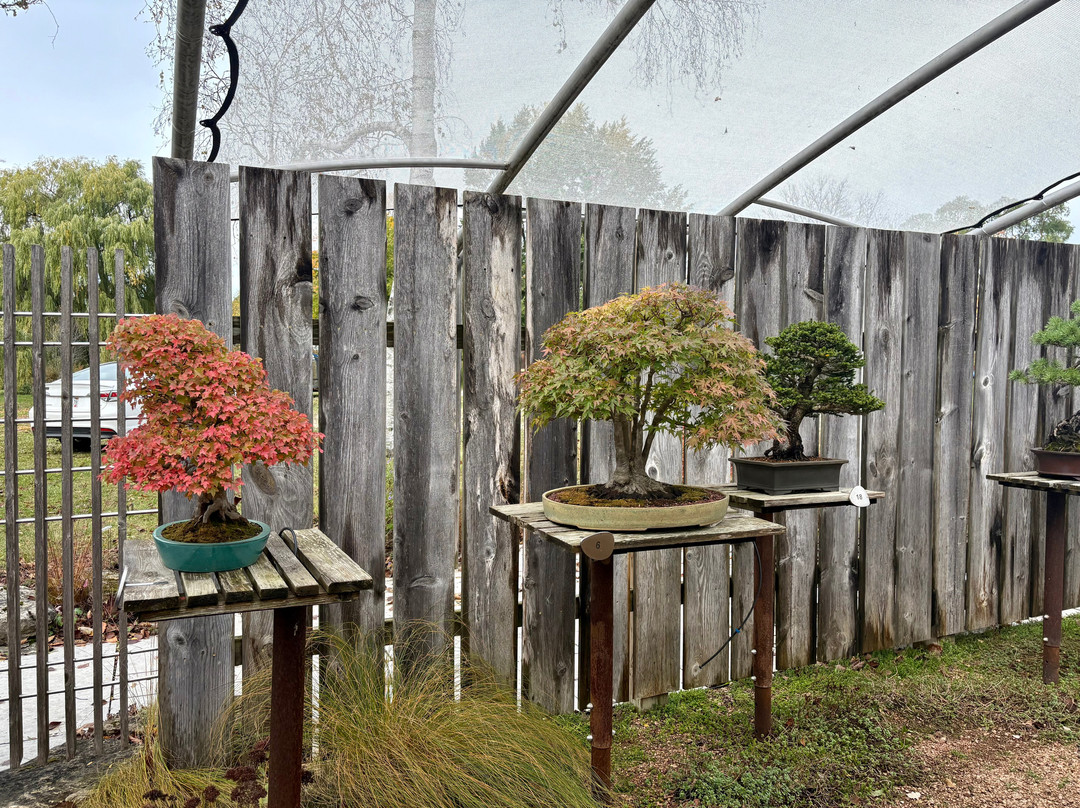 Lynden Sculpture Garden-密尔沃基必去景点