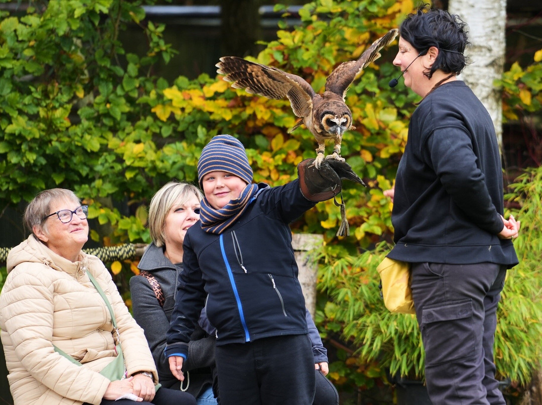 Le Jardin des Hiboux-Bievre必去景点