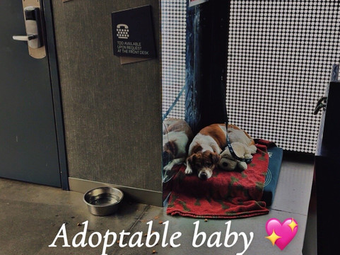 Aloft Mooresville主图