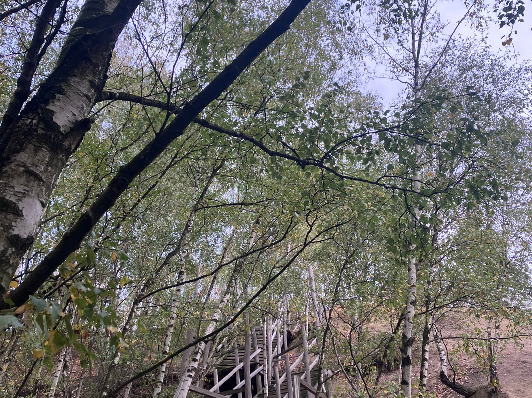 De Schorre-Boom必去景点