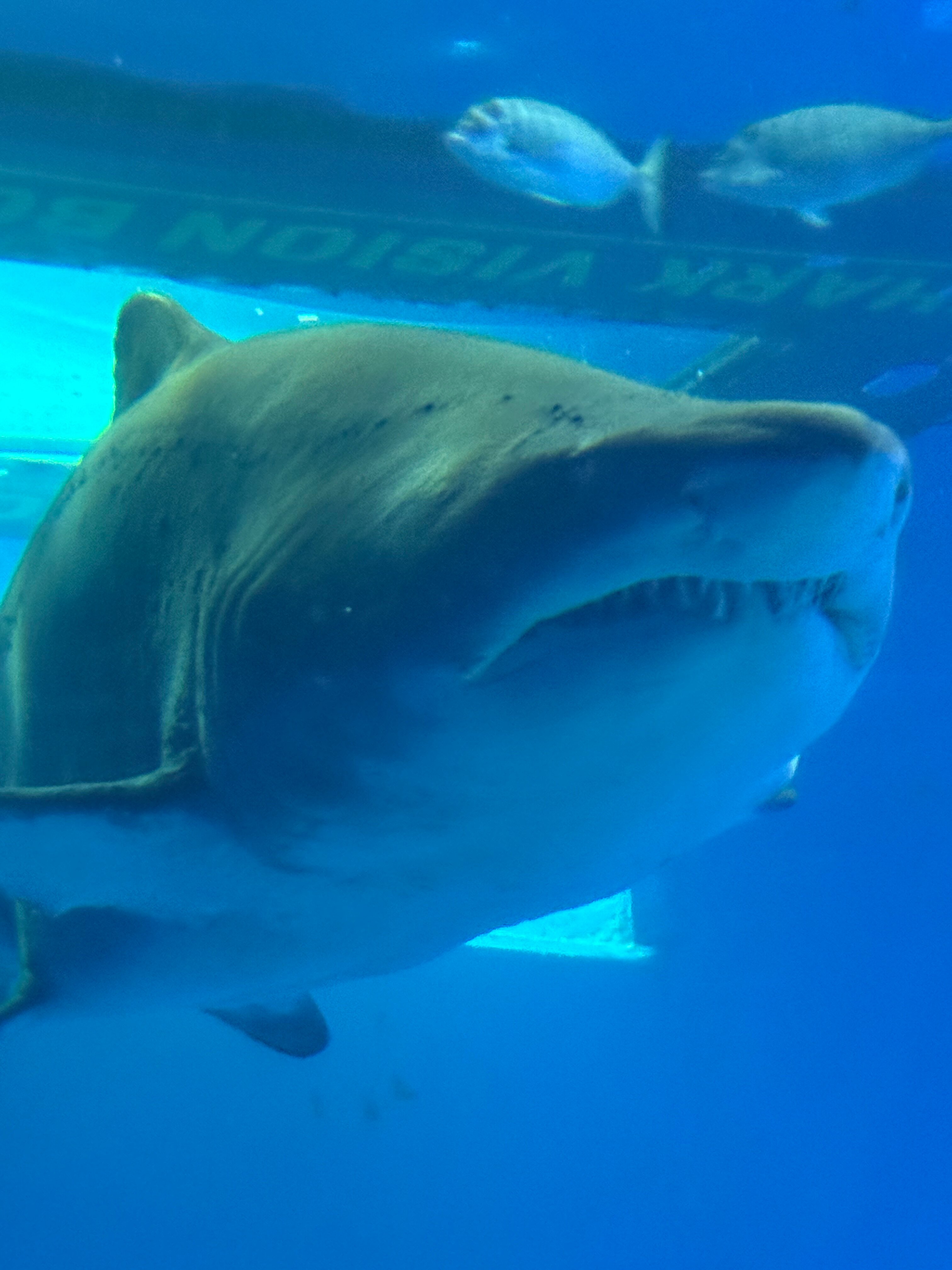 BQ安弗拉海滩酒店-官方