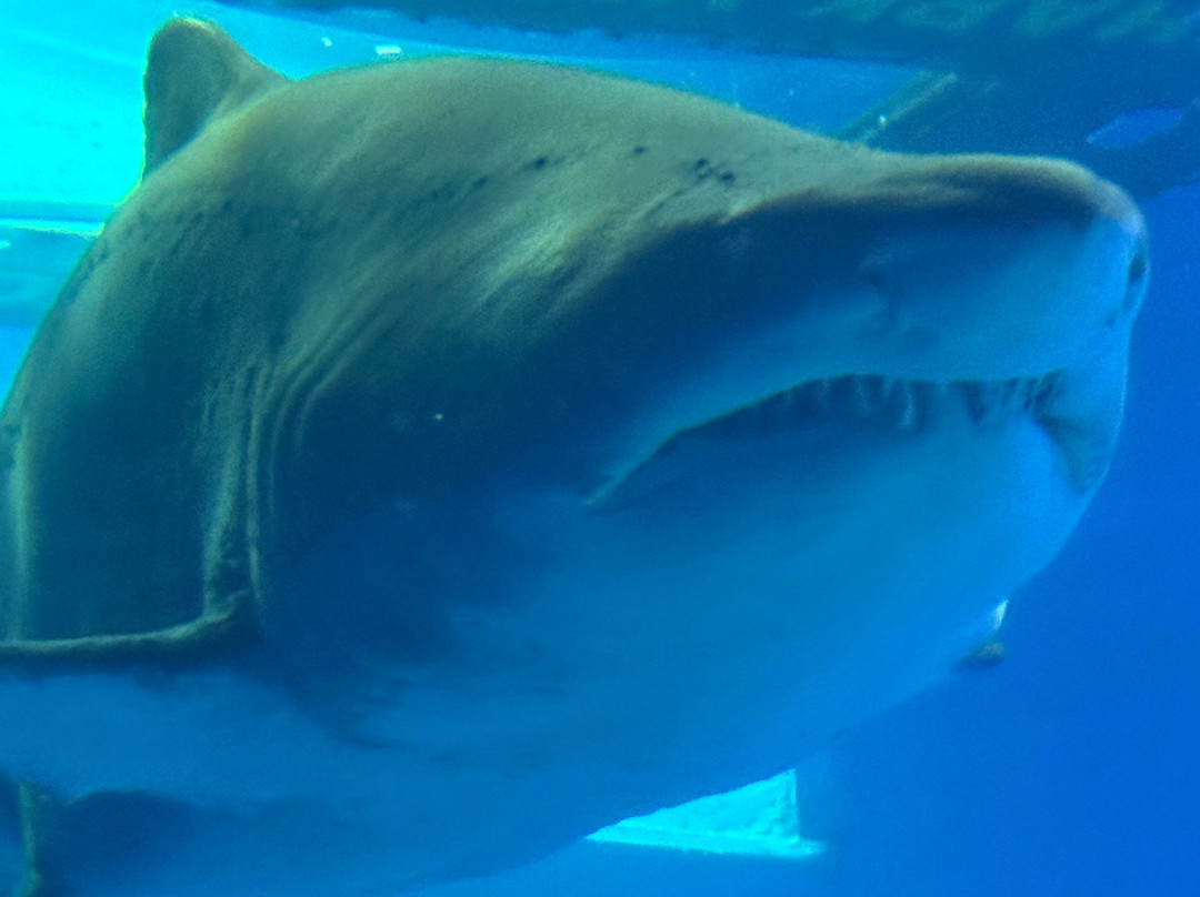 BQ安弗拉海滩酒店主图