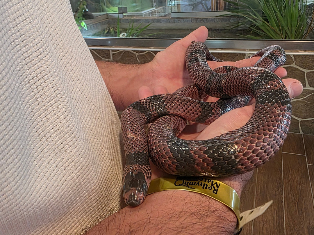 Reptisland-Melidoni必去景点