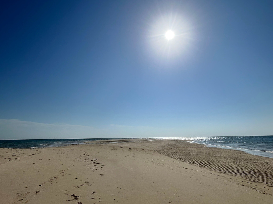 Armona Island-奥良必去景点