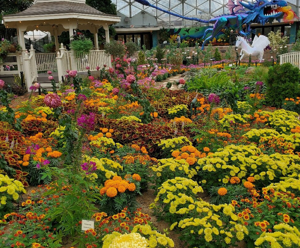 Mitchell Park Horticultural Conservatory (The Domes)-密尔沃基必去景点