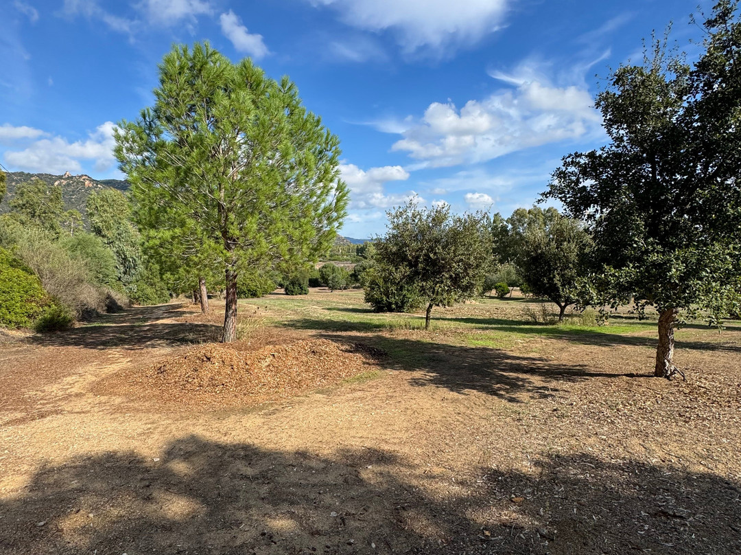 B&B Rossofiore主图