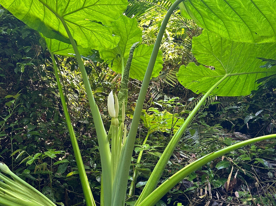 Cat Tien Park-Nam Cat Tien必去景点