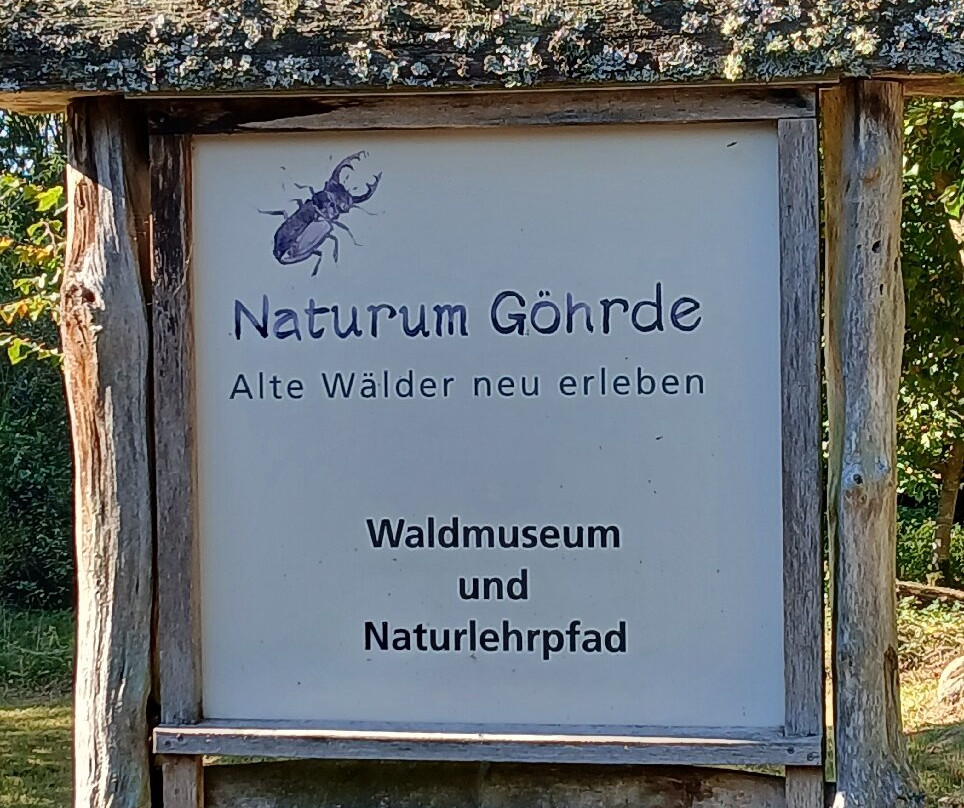 Naturum Göhrde Waldmuseum