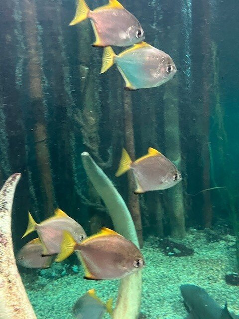 Deltapark Neeltje Jans-Vrouwenpolder必去景点