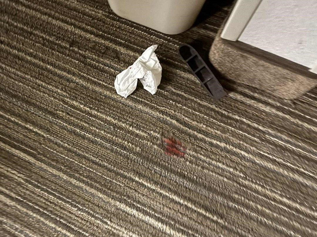 Quality Inn Mitchell I-90主图