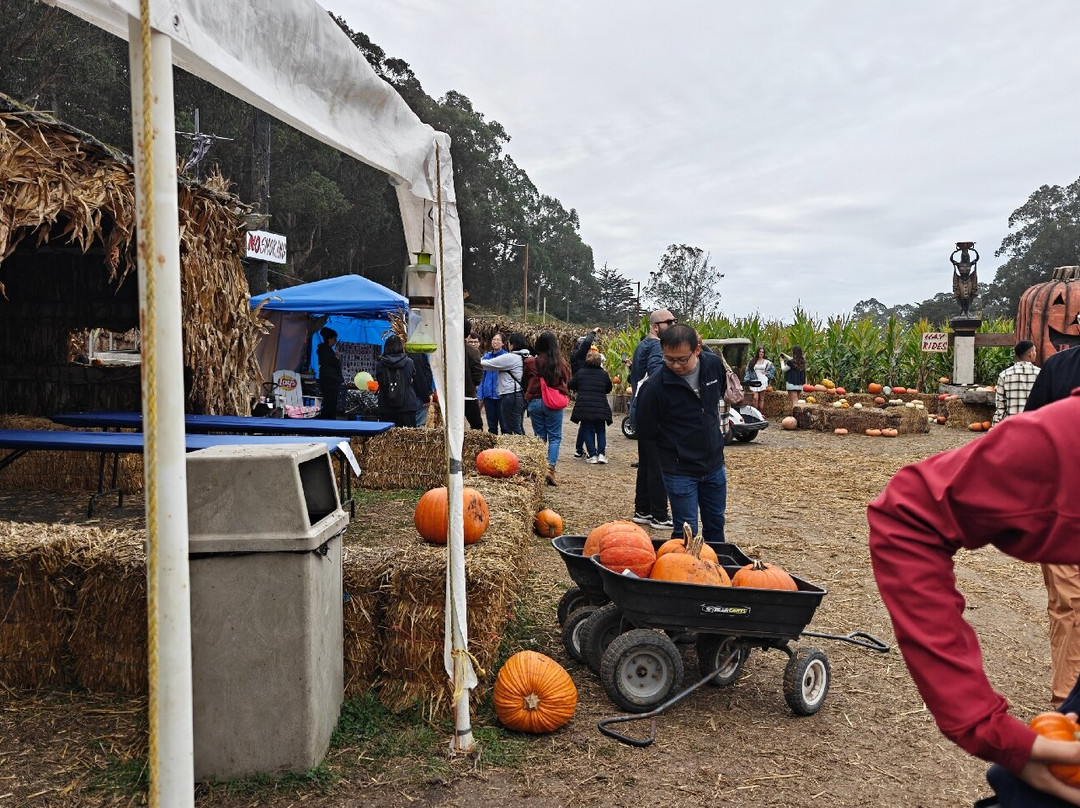 Arata Pumkin Farm-半月湾必去景点
