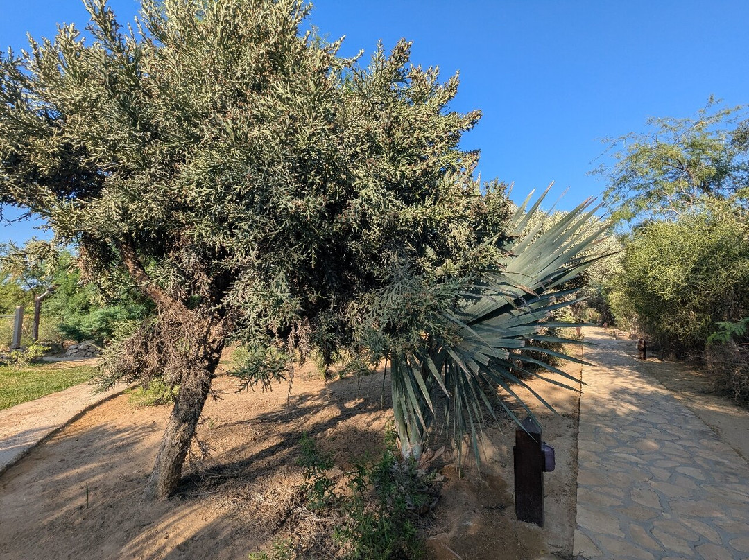 Auberge de la Table主图