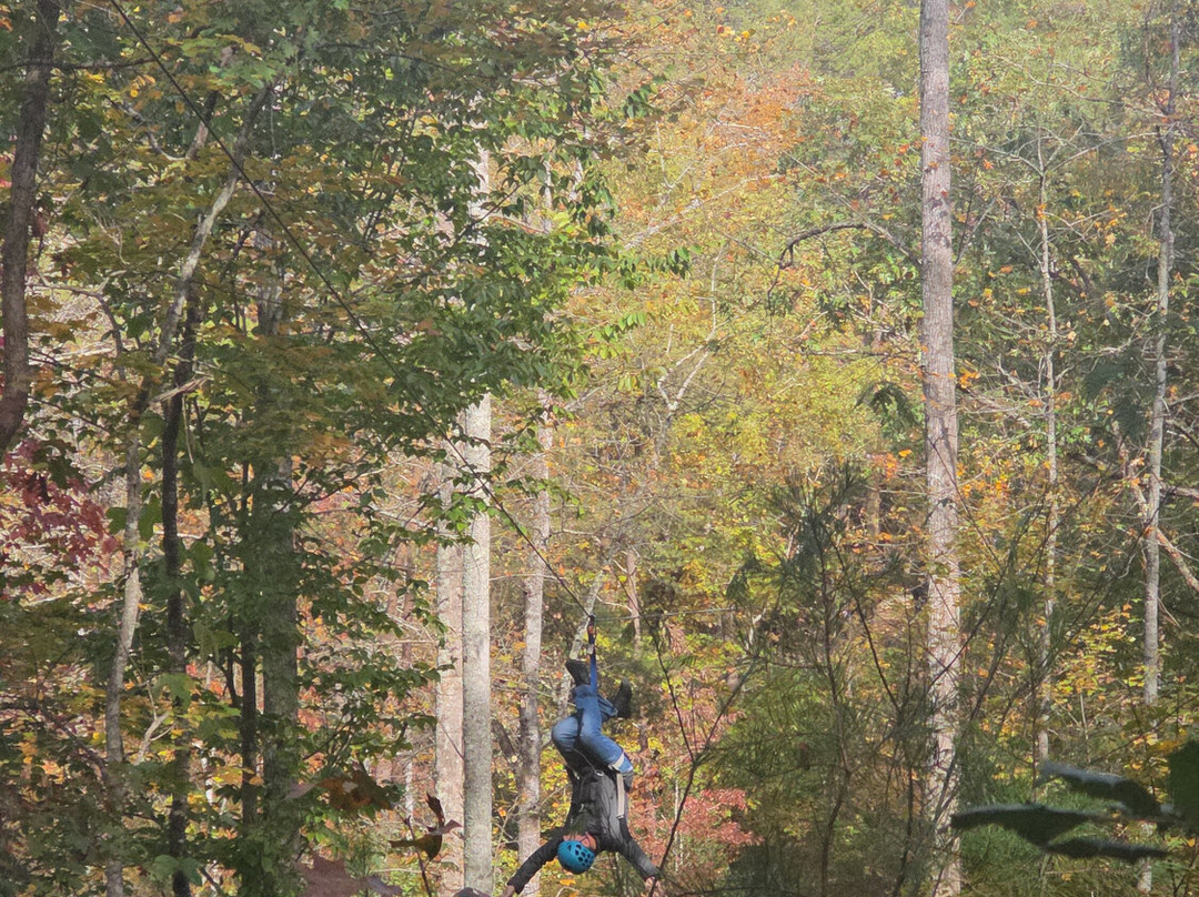 Canopy Ridge Farm-Lake Lure必去景点