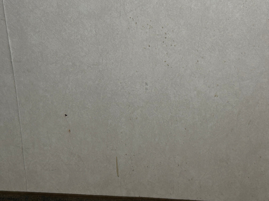 Clarion Hotel Philadelphia International Airport主图