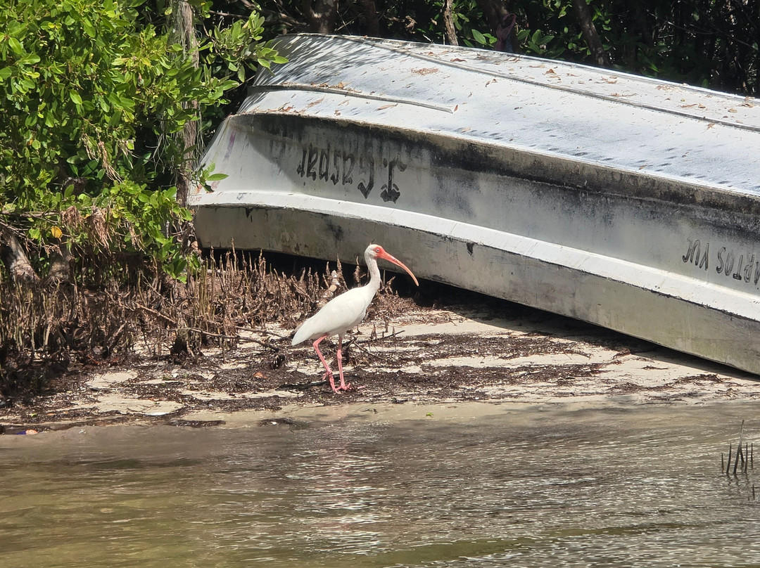 Guia Naturalista William Canto-里奥拉加托斯必去景点