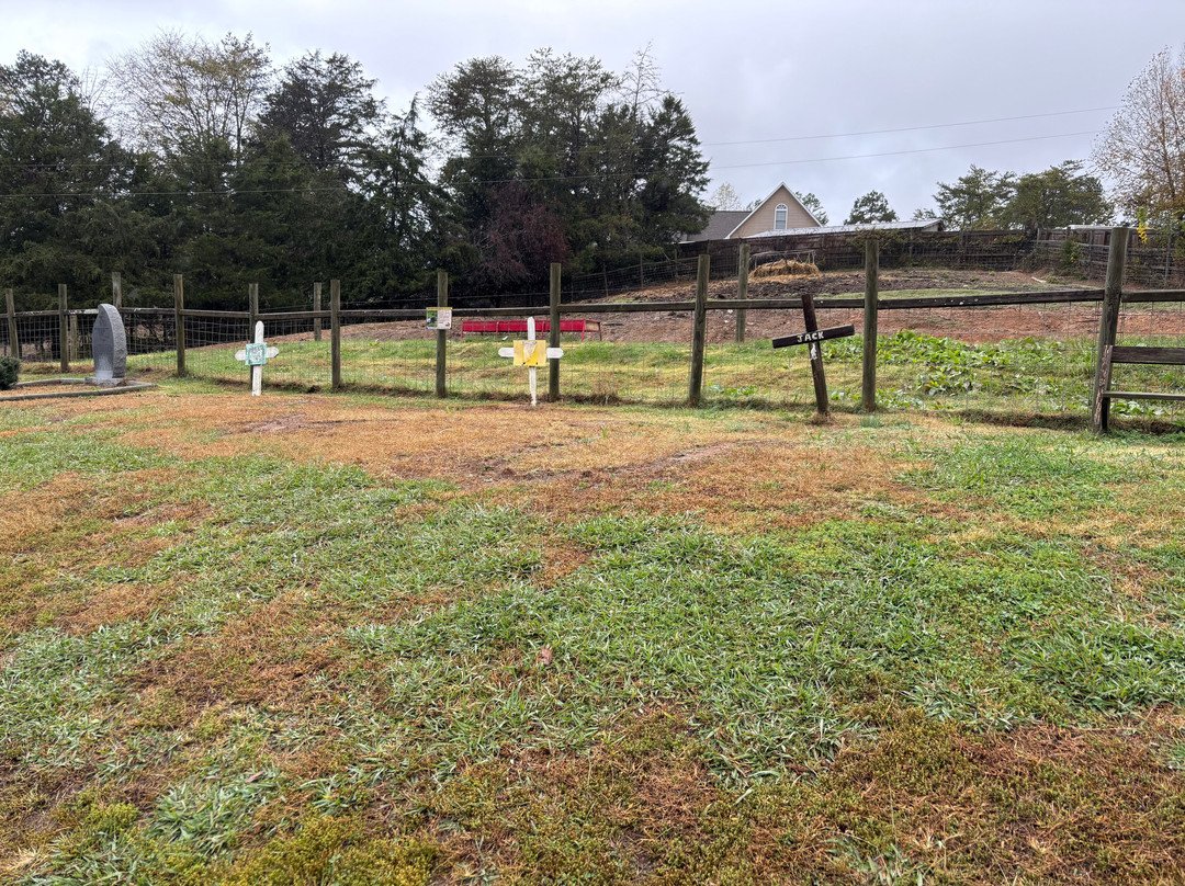 Little Ponderosa Zoo-Clinton必去景点