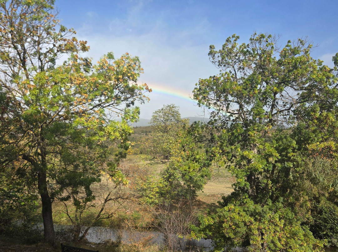 Hôtel Le Châtelet***主图