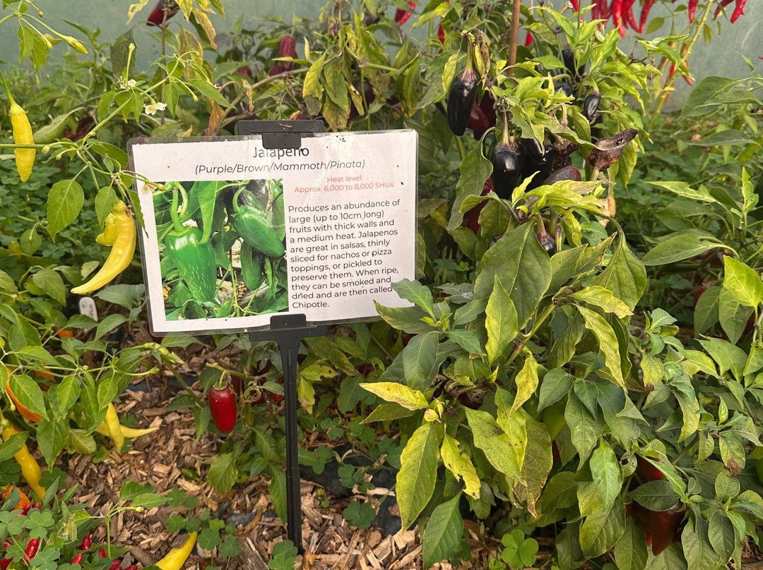 South Devon Chilli Farm-Loddiswell必去景点