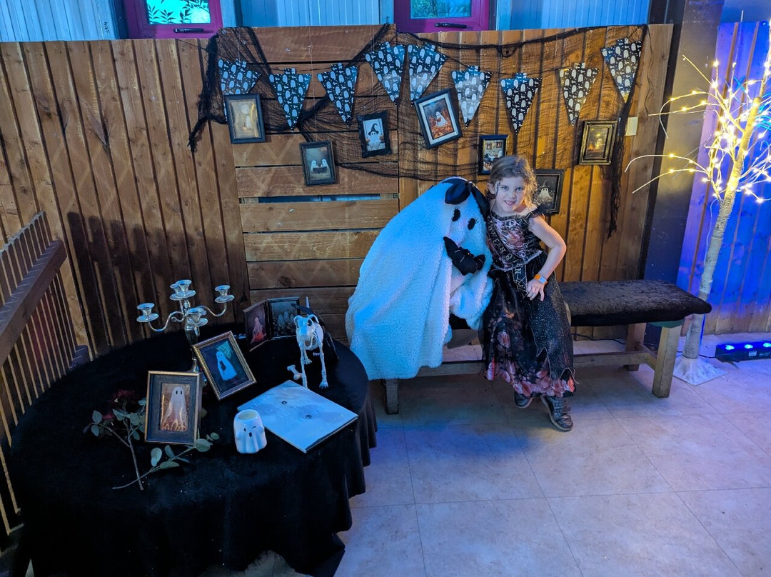 The Pink Pig Farm-斯肯索普必去景点