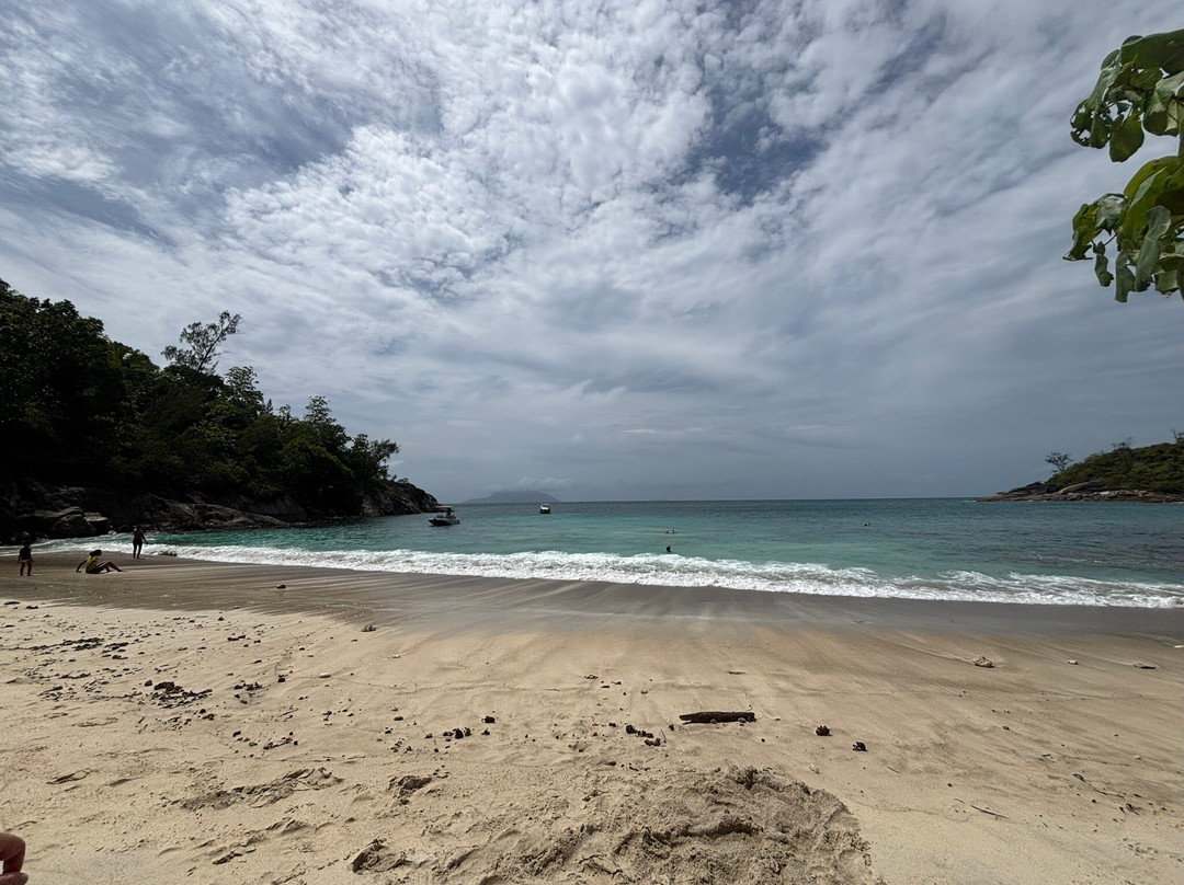 TAXI BOAT Happiness-博瓦隆必去景点